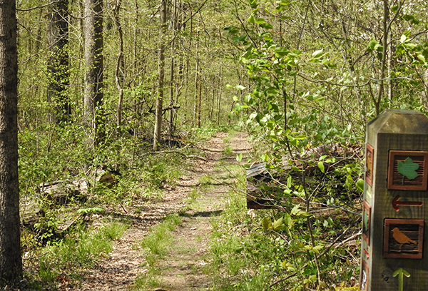 Clear Creek Metro Park - Prairie Warbler Trail and E.E. Good Prairie Loop Rockbridge Ohio Hiking Trail