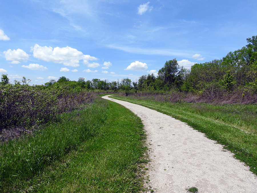 Yellowlegs Trail at Pickerington Ponds Metro Park