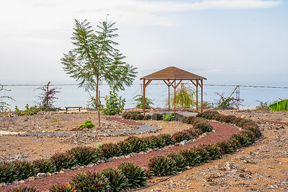 Healing Garden (256).jpg