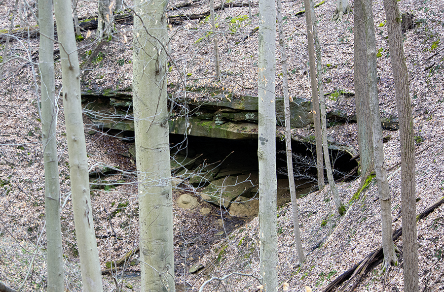 Cave at Boch Hollow State Nature Preserve