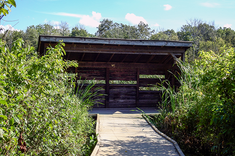 Duck blind at Calamus Swamp Preserve in Circleville Ohio