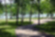 The Woods at Ariel-Foundation Park in Mount Vernon Ohio