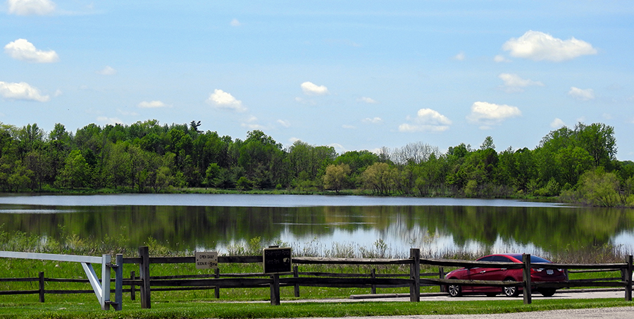Ellis Pond Parking Lot at Pickerington Ponds Metro Park Yellowlegs Trail