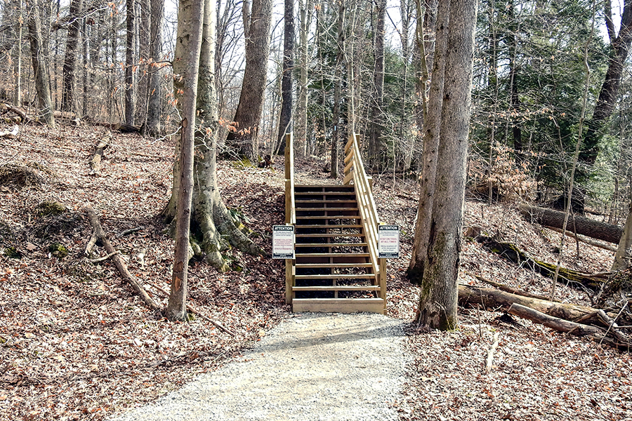 Boch Hollow State Nature Preserve West Trailhead Stairs Buckeye Trail Logan Ohio