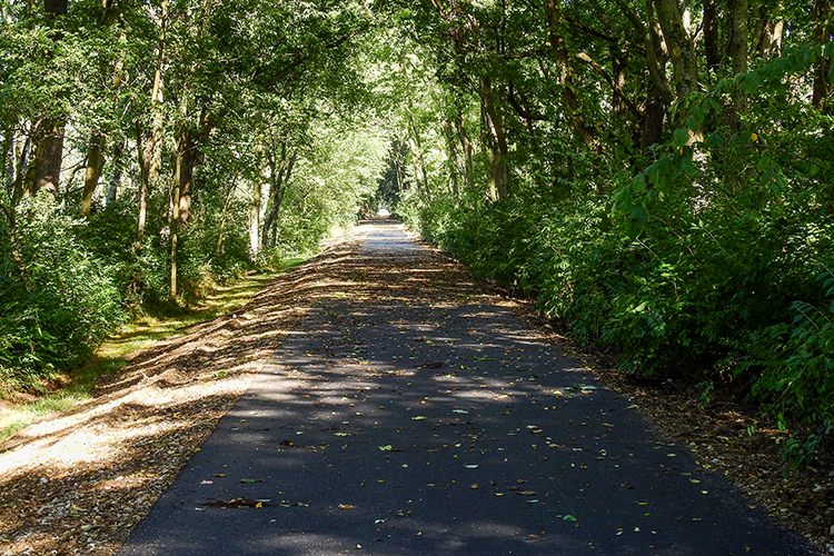 Paved Pickaway Trail at Calamus Swamp Preserve in Circleville Ohio