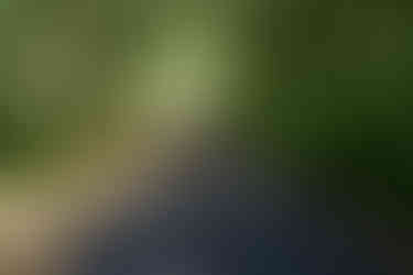 Paved Pickaway Trail at Calamus Swamp Preserve in Circleville Ohio