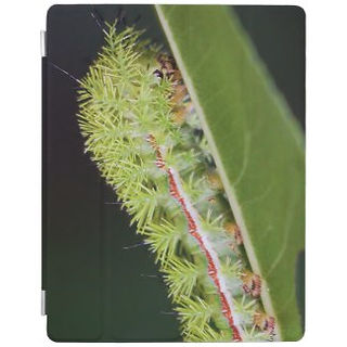 io Moth Caterpillar iPad Cover