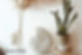 Home decor featuring a white crochet ammonite seashell crochet pattern next to a potted plant.