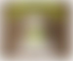 Various handmade amigurumi and applique designs made using Lucky Cat crochet patterns.