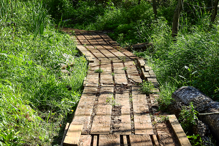 Boardwalk at Calamus Swamp Preserve in Circleville Ohio