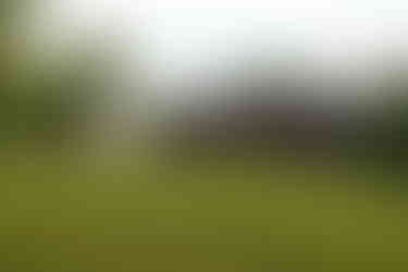 Small brown cabin with picnic table on grassy hill at Punderson State Park.