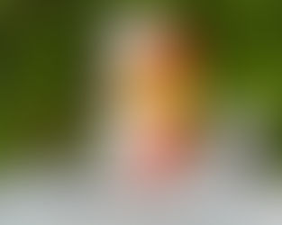 Gnome Crochet Pattern / Amigurumi Garden Gnome