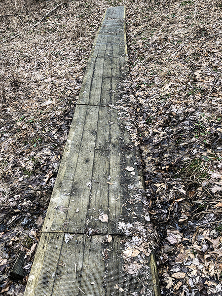 Rhododendron Cove State Nature Preserve Boardwalk Lancaster Ohio