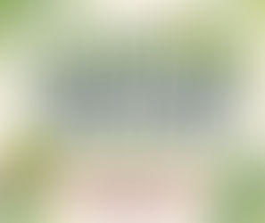 A variety of crochet caterpillar patterns from whimsical to realistic.