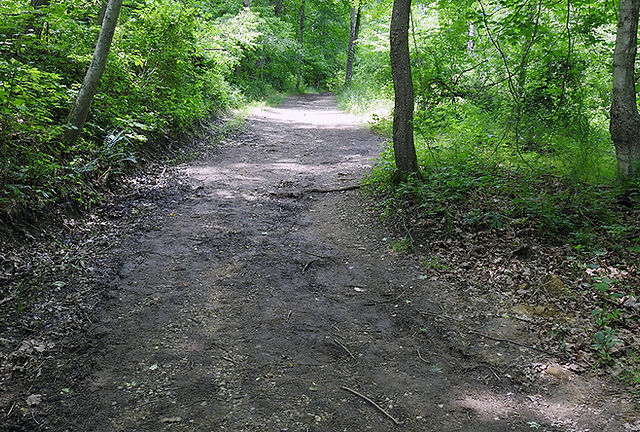 Cemetery Ridge Trail at Clear Creek Metro Park