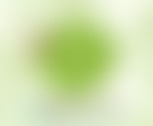 2017' 생명과 평화를 위한 가족 한마당 (정태춘 출연)