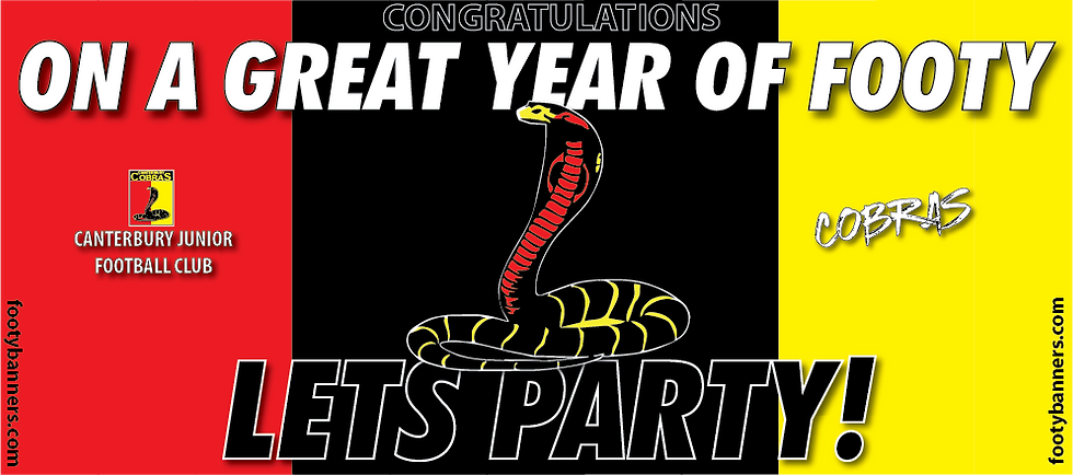 Thumbnail: Canterbury Cobras Football Banners