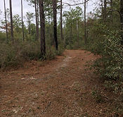 Ponce De Leon State Park Trails