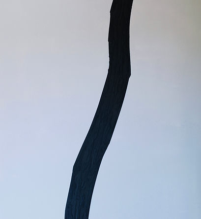 _DSC9338.jpeg