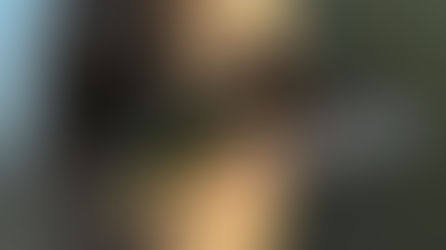 ¡Un híbrido de Anna, de Costa o de Costa plus, se une al Studio City Gang!