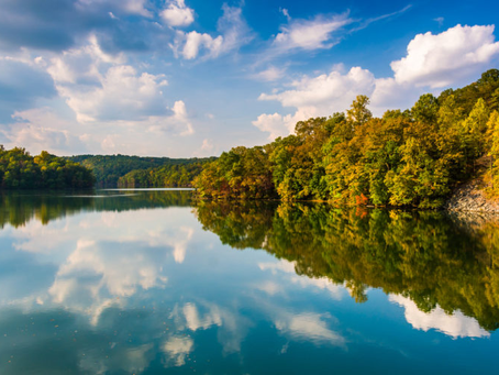 Best Lakes in Rosedale, MD