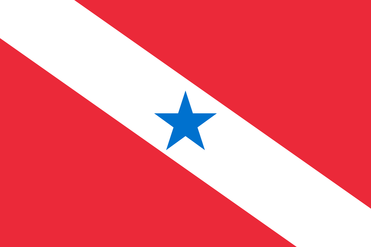 Bandeira Estado do Pará