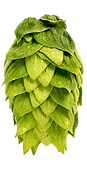 FlatheadValleyHops_20220912_2118.png