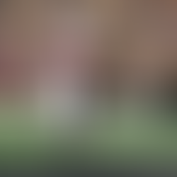 2024Mock Draft: Surprise No.1 Pick