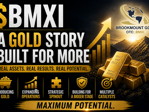 BMXI: From Quiet Producer to Multi Layered Gold Story