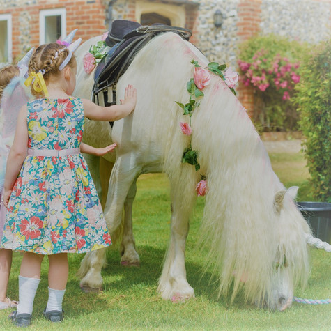 Meet your unicorn