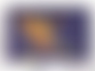 De paradijsvogelbloem