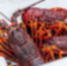 Live Crayfish