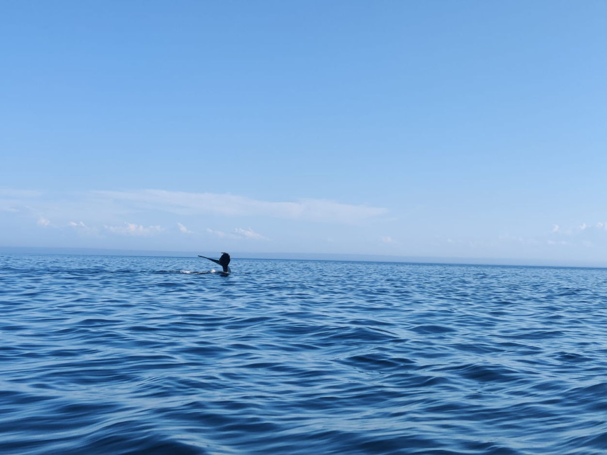 WhatsApp Image 2022-09-14 at 16.13.29.jpeg