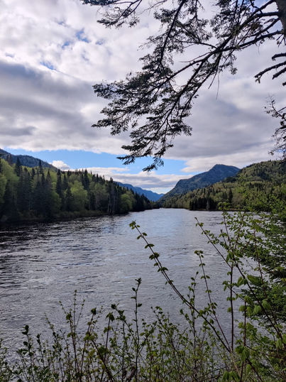 WhatsApp Image 2022-05-23 at 20.49.00.jpeg