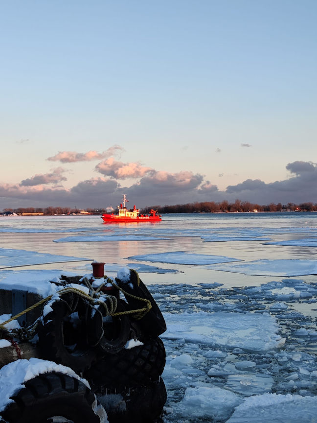 WhatsApp Image 2022-02-19 at 17.41.45.jpeg