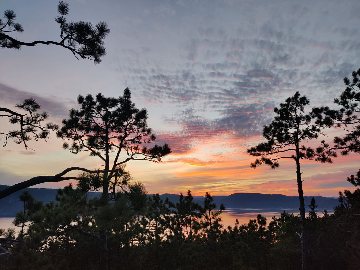 WhatsApp Image 2022-09-14 at 16.13.35.jpeg