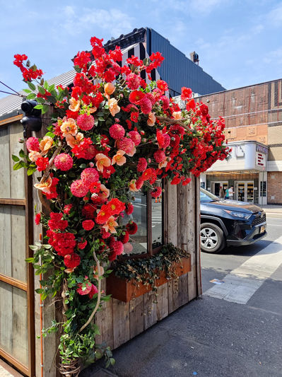 WhatsApp Image 2022-04-16 at 17.59.05 (1).jpeg