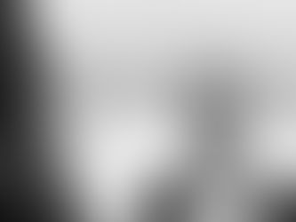 What does a support worker do?