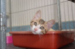 image2.jpeg