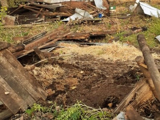 Renaico: Fuertes vientos provocaron voladura de techumbres y caída de árboles en sector Manzanares