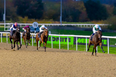 An Impressive All-Weather Double at Wolverhampton