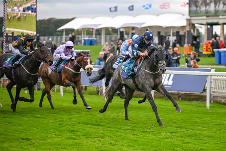 Sky Advocate Excels in Handicap Company at York