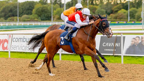 A Wolverhampton Win for Iron Dome