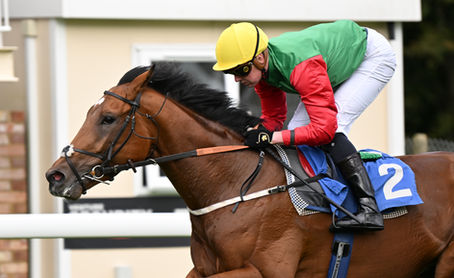 Finbar Furey Lands Two-Year-Old Debut in Novice Stakes