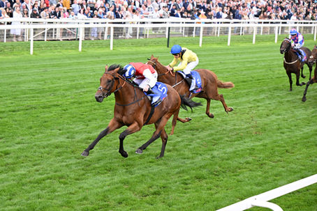 A Courageous York Finish for Blue Courvoisier