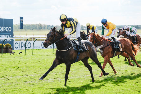 James’s Delight Scores Handicap Success at Newmarket
