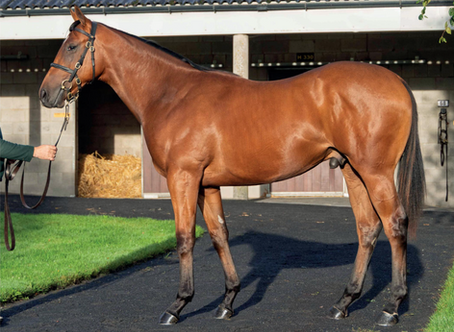 New Syndicate Ownership Opportunity