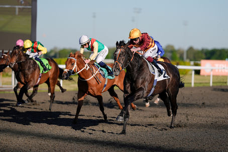 Langstone Maintains His Unbeaten Record