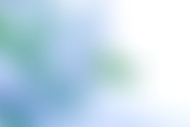 七夕の夜に飾りたい「涼を呼ぶ花々」