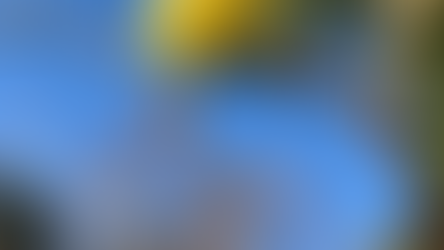 陽だまりの中で見つけた、小さな幸せ